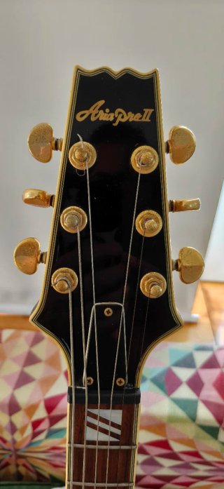 Aria Pro II FA-70 Guitarra Semiacústica