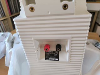 Altavoces Yamaha NS-AW392 Blancos (2 unidades)