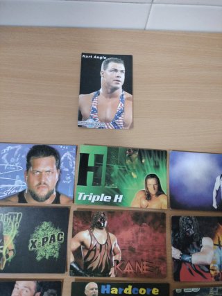 Lote 16 Tarjetas WWF Coleccionables Año 2000