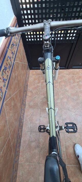 Bicicleta MTB 29 Orbea