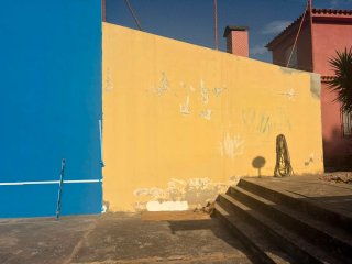 Pintor profesional