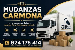 Mudanzas transportes vaciados