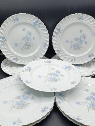 Set platos porcelana Limoges Haviland