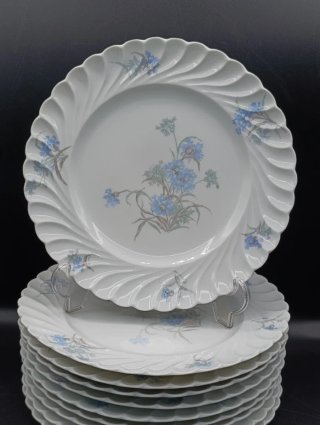 Set platos porcelana Limoges Haviland
