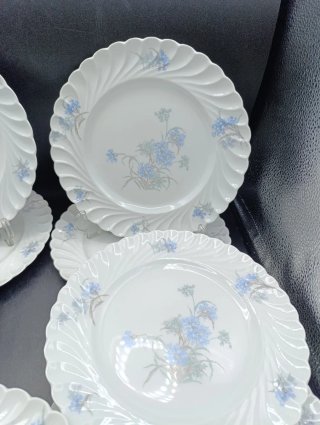 Set platos porcelana Limoges Haviland