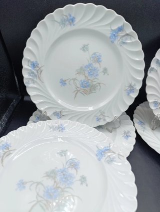 Set platos porcelana Limoges Haviland