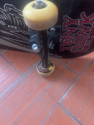 Skate Tony Hawk Birdhouse