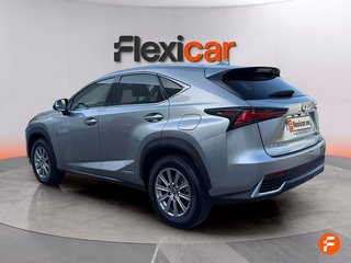 Lexus NX 2.5 300h Business 2WD