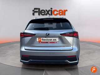 Lexus NX 2.5 300h Business 2WD