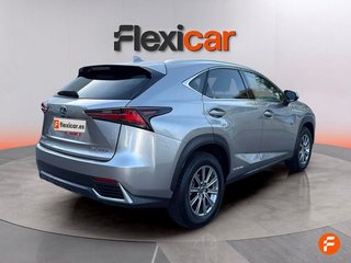 Lexus NX 2.5 300h Business 2WD