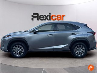 Lexus NX 2.5 300h Business 2WD