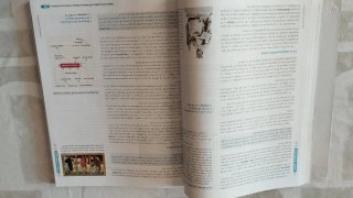 Historia de la filosofía, 2 Bachillerato