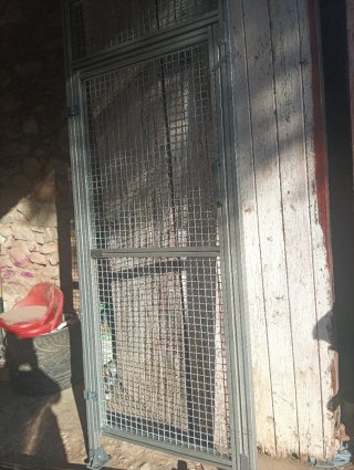 Puerta de seguridad metálica nueva