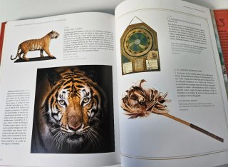 Animales fantásticos maravillas de la naturaleza