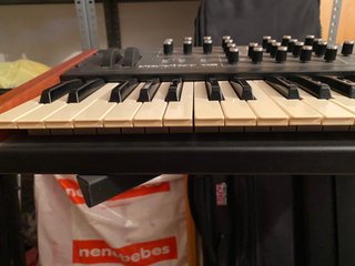 Sintetizzatore DSI Prophet 08