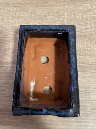 Maceta de Cerámica Azul Cobalto para Bonsai