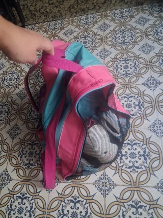 Bolsa para patines Hudora