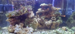 Rocas para acuario marino.