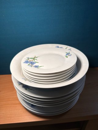 Set de platos de porcelana con flores azules