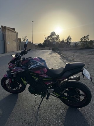 Kawasaki Z650 2022