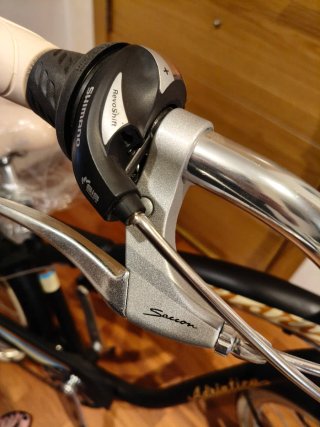 Bicicleta Urbana Adriatica Negra