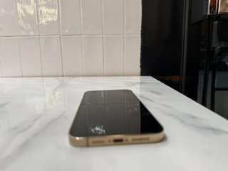 iPhone 13 Pro Max Dorato