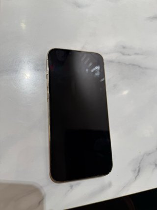 iPhone 13 Pro Max Dorato
