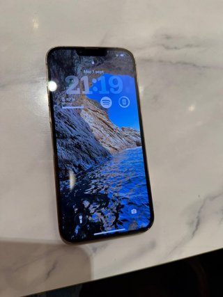iPhone 13 Pro Max Dorato