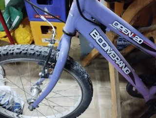 Bicicleta Boomerang Open 20