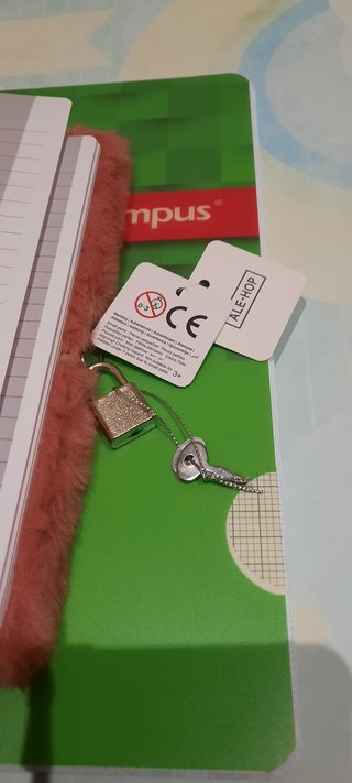 Diario peluche rosa con conejo