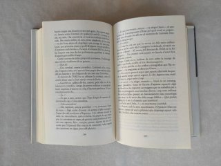 L'Àngel perdut