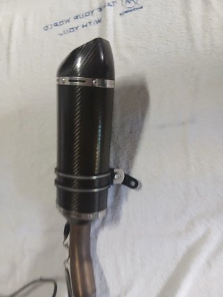 Scarico Carbon Roadsitalia con Collettore