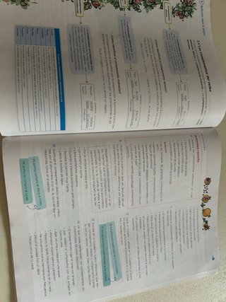 Lengua y literatura 1 ESO