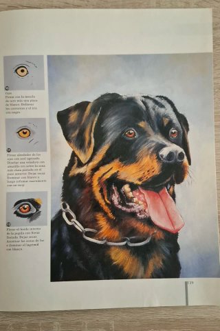 Pintura sobre Madera Adelantos de Navidad ...