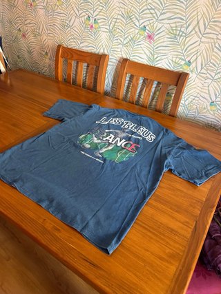 Camiseta Francia FIFA World Cup Bershka Azul