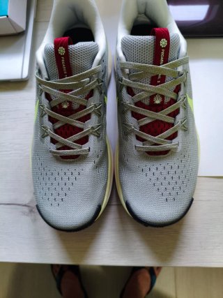 Zapatillas Nike Pegasus Trail Gx 5 Gris Verde