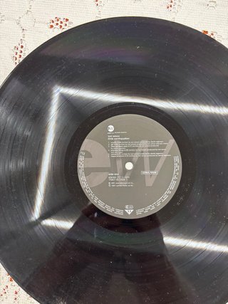 Tori Amos Little Earthquakes Vinilo