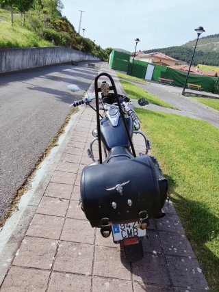 Kawasaki Vulcan Negra y Plateada