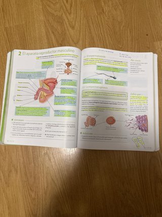 Biología y Geología, 3o ESO.