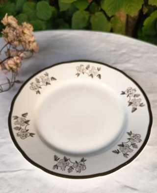 2 Platos: Seltmann Weiden y MZ Checoslovaquia