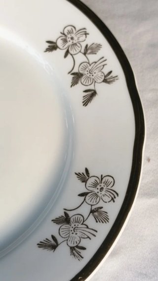 2 Platos: Seltmann Weiden y MZ Checoslovaquia
