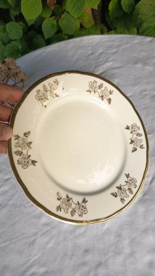 2 Platos: Seltmann Weiden y MZ Checoslovaquia