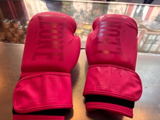 Guantes Boxeo Leone Rosa