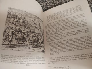 Livro A Mineração e o Novo Mundo Vintage