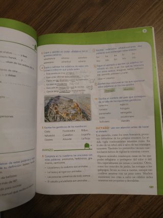 Lengua, 5 Primaria