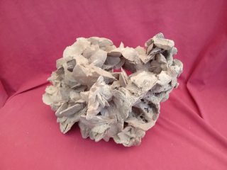 Rosa del desierto 3.5 kg