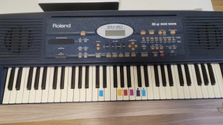 Teclado Roland EM-20 con pedal