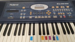 Teclado Roland EM-20 con pedal