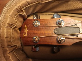Bajo Taylor GS Mini Bass. Leer todo el anuncio