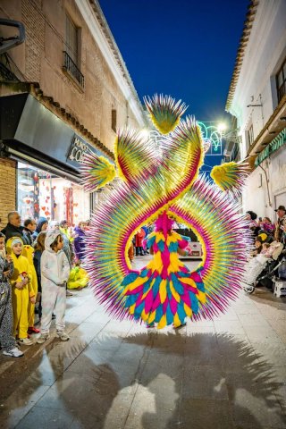 Disfraz Samba Carnaval